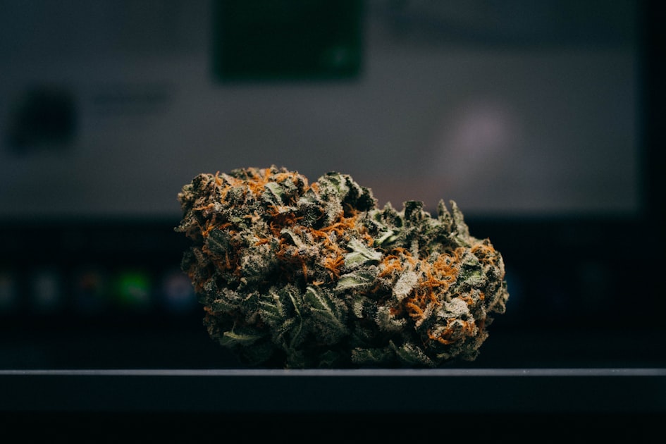 Legal Aspects of Cannabis in Malta